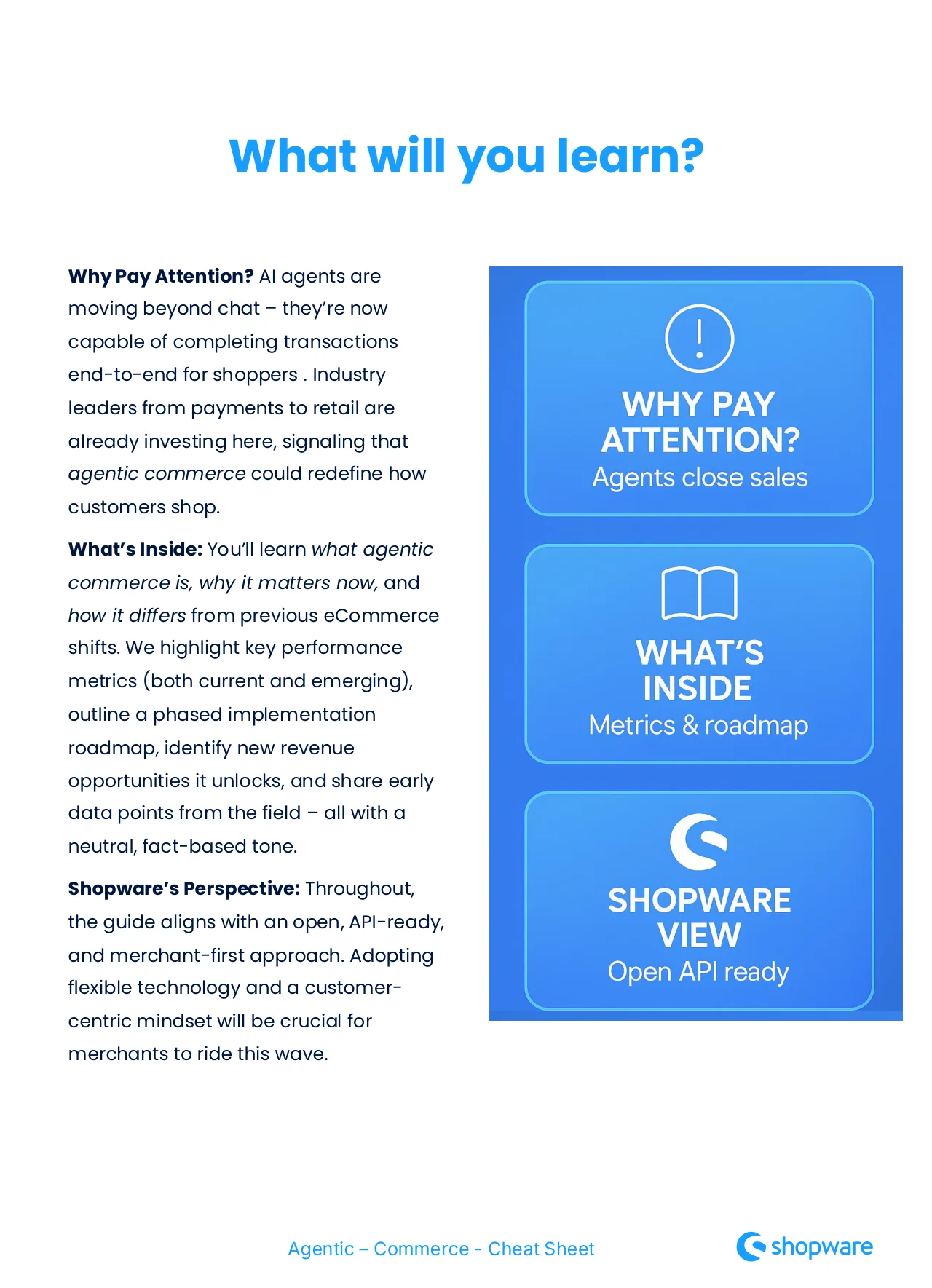 Agentic Commerce Cheat Sheet for Ecom Leaders · original page 3