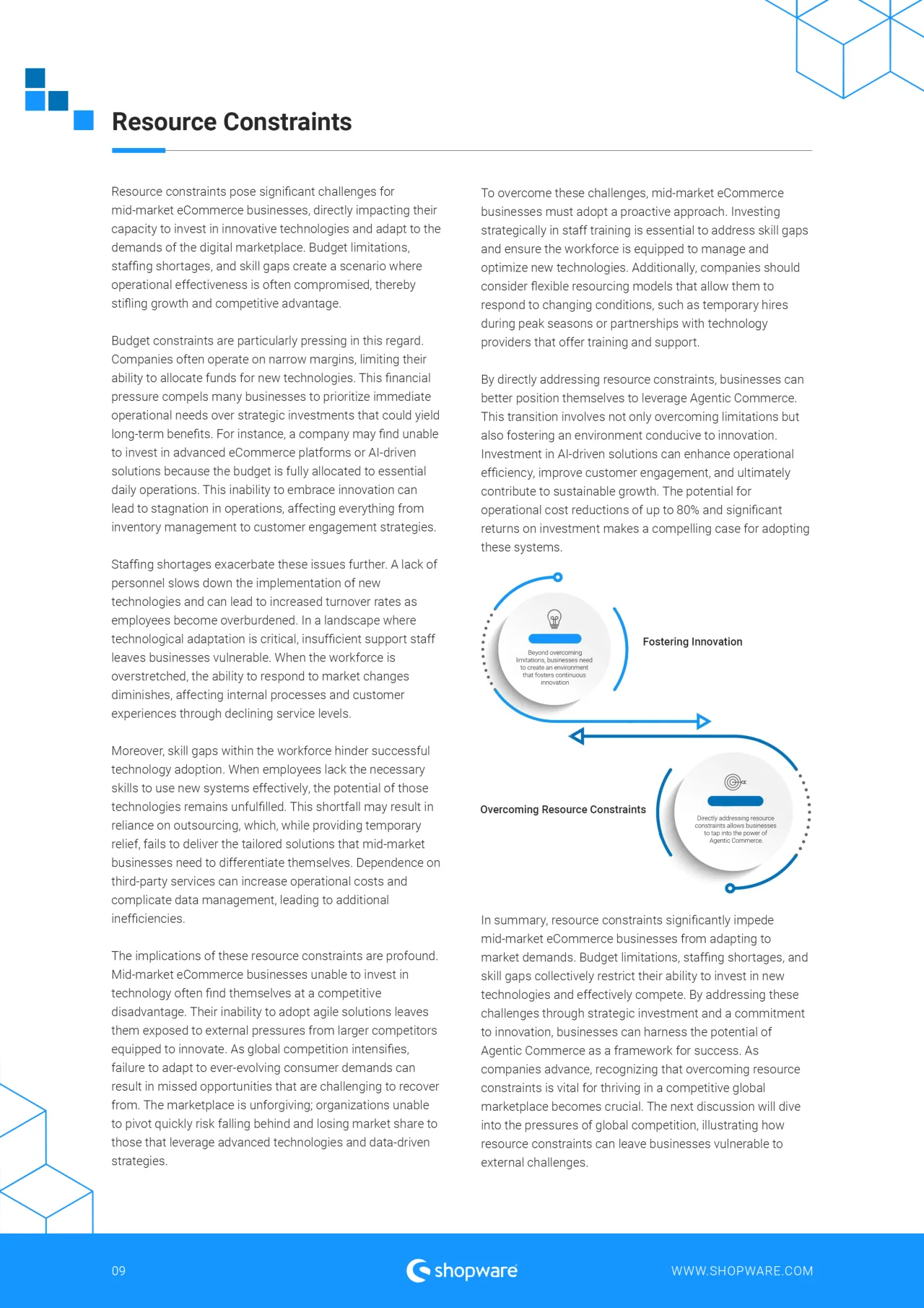 Agentic Commerce: How AI Autonomy Will Redefine Ecommerce Competition · original page 9